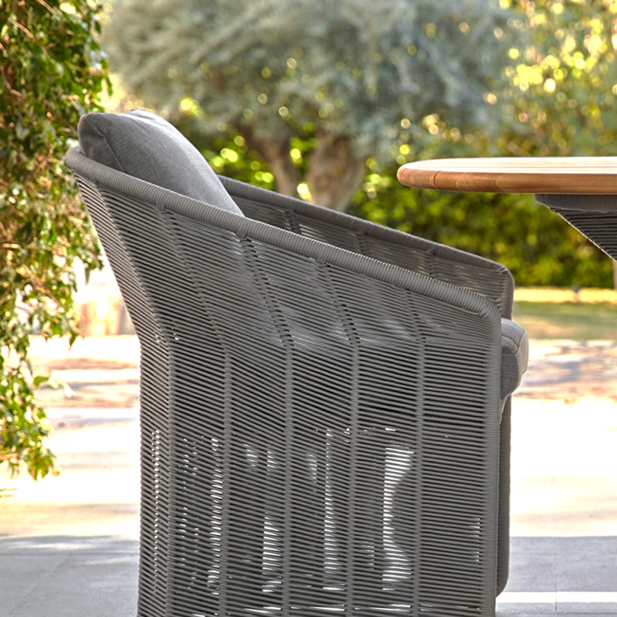 Collare Dining Arm Chair