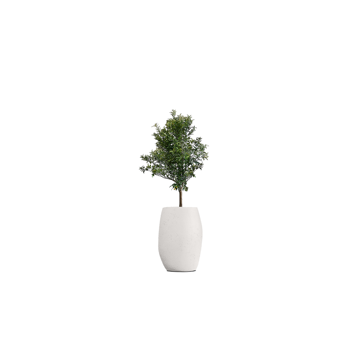 Pebble Tall