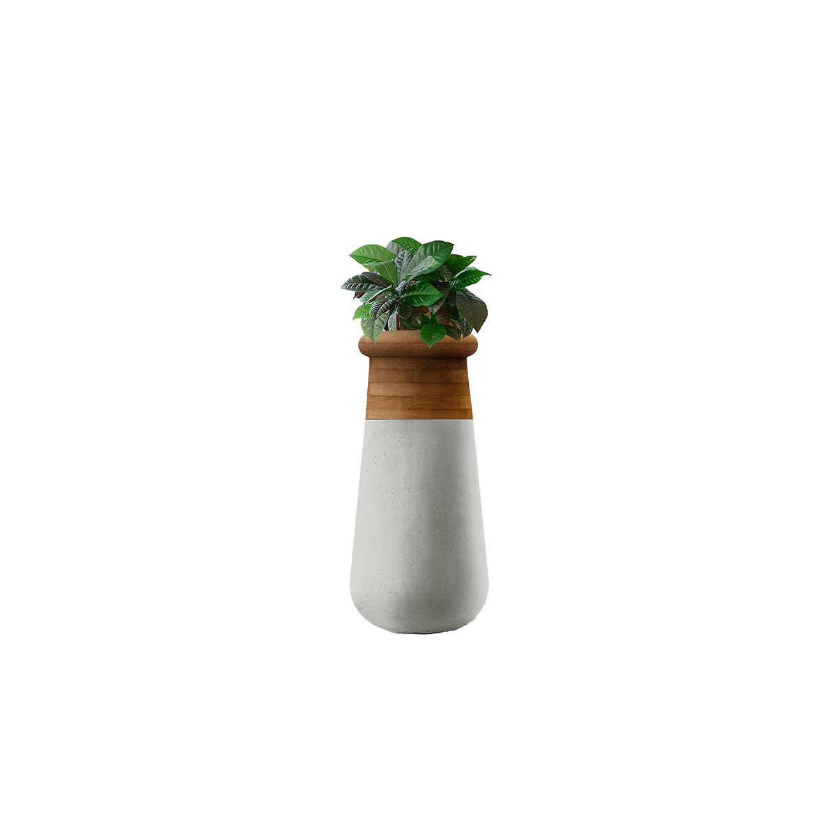Soma Slim XS