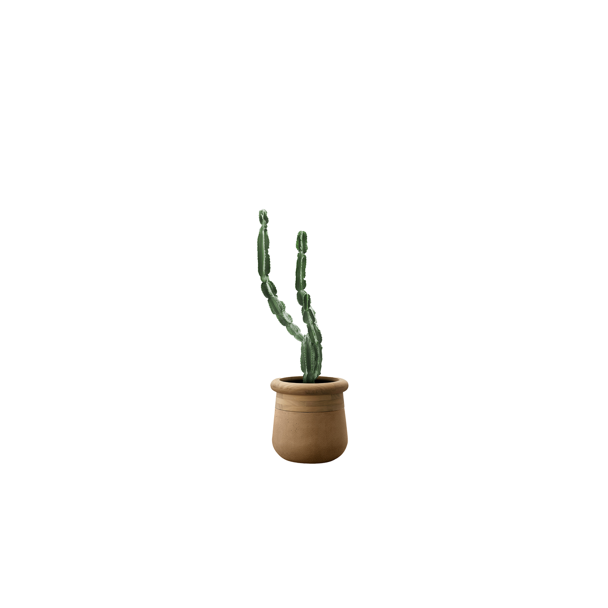 Soma Small