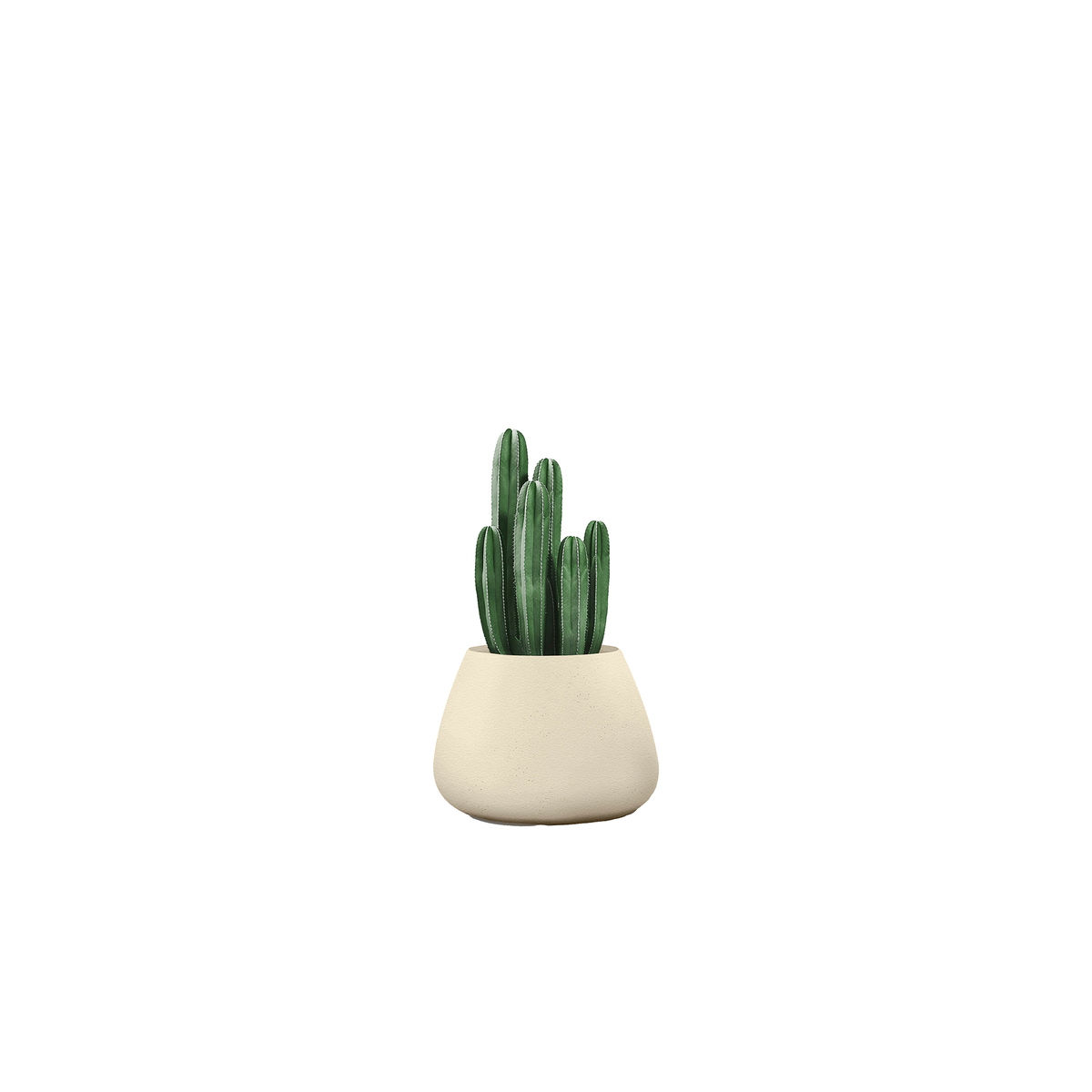 Tuber Small Stone