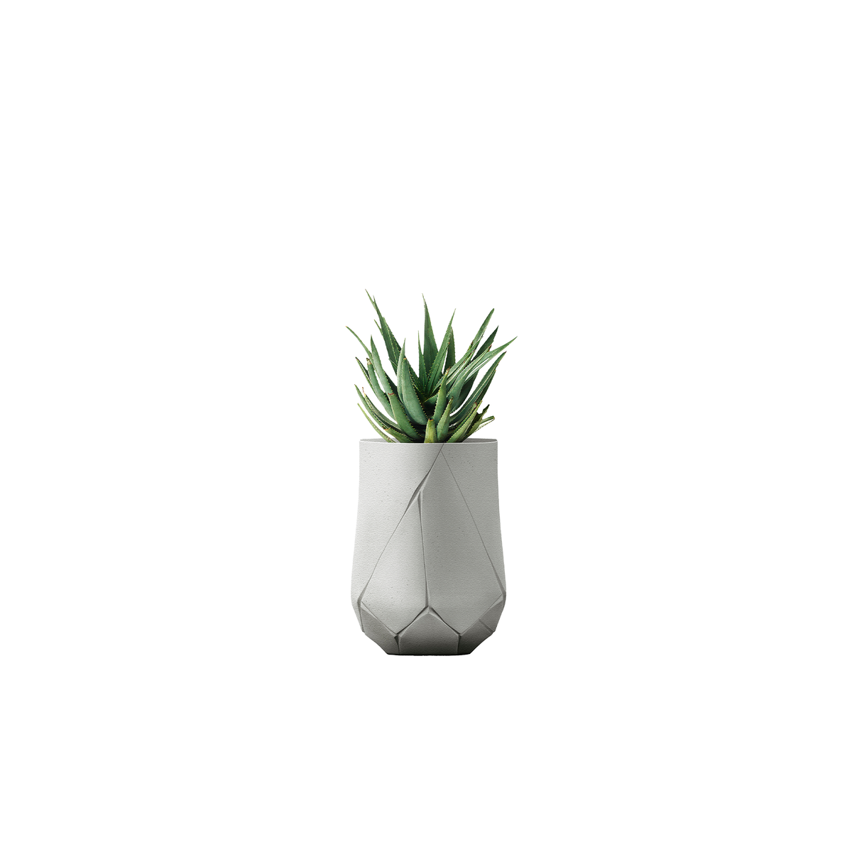 Bhaca Tall