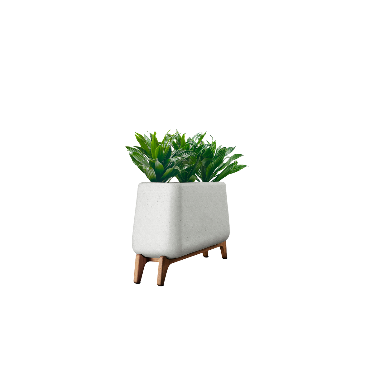 Terra Trough