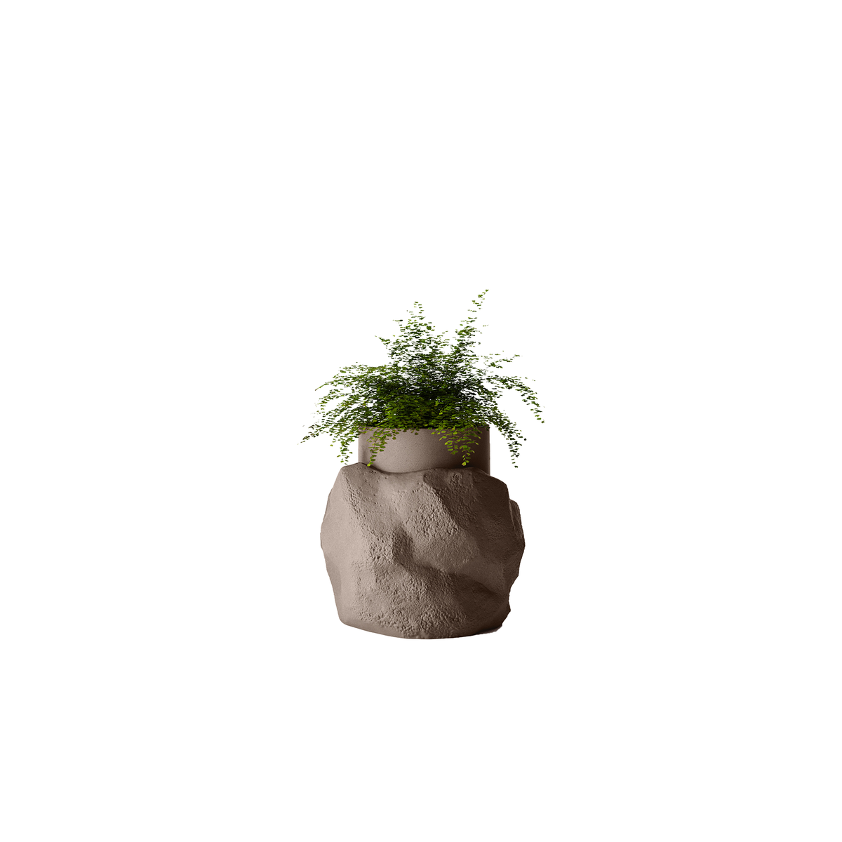 Petra Medium