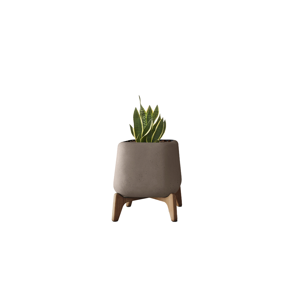 Terra Square XS
