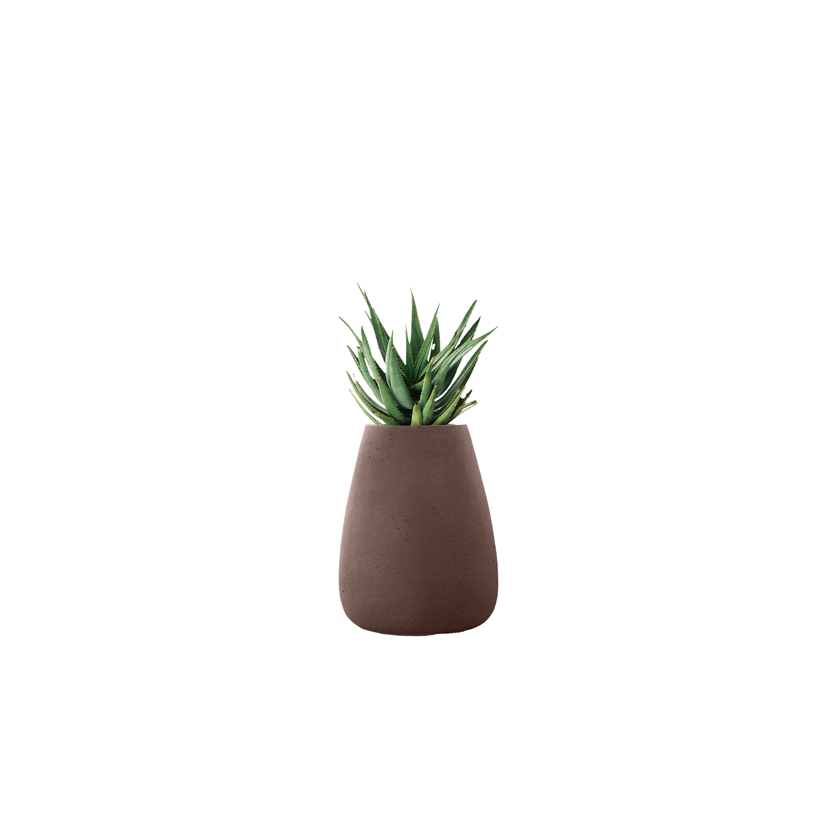 Tuber Medium Stone