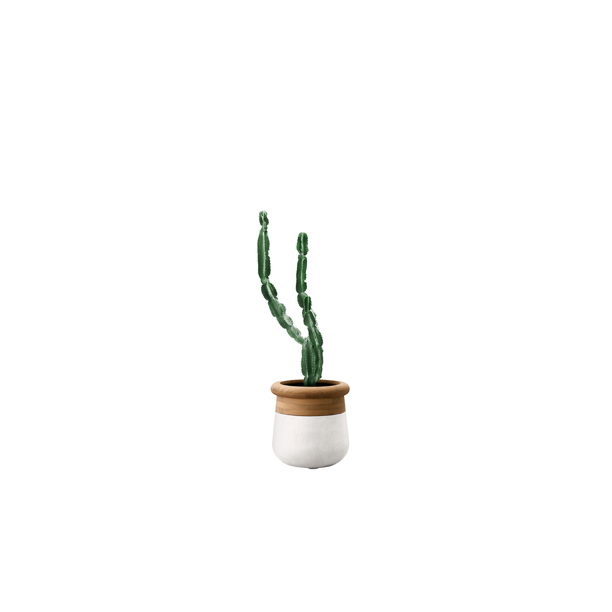 Soma Small