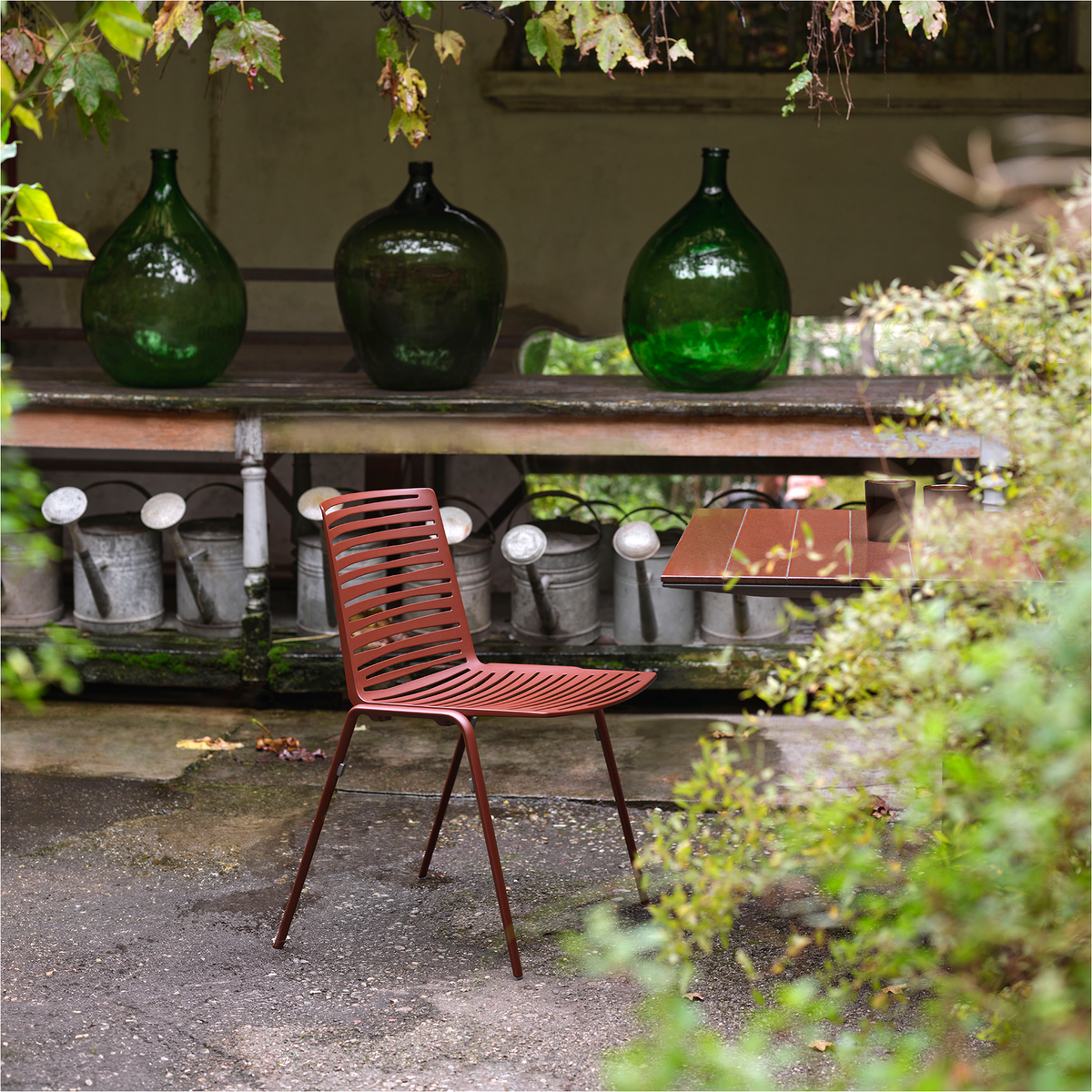 Forest Dining Chair with Iroko Legs