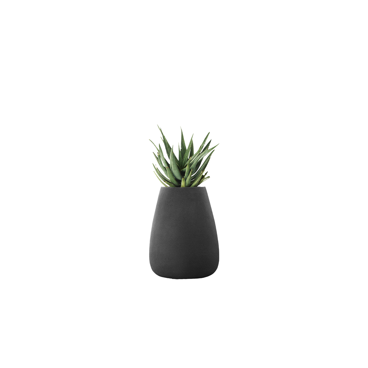 Tuber Medium Stone