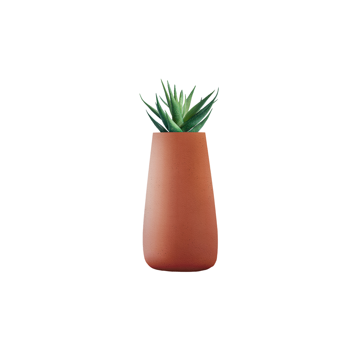 Tuber Tall Stone