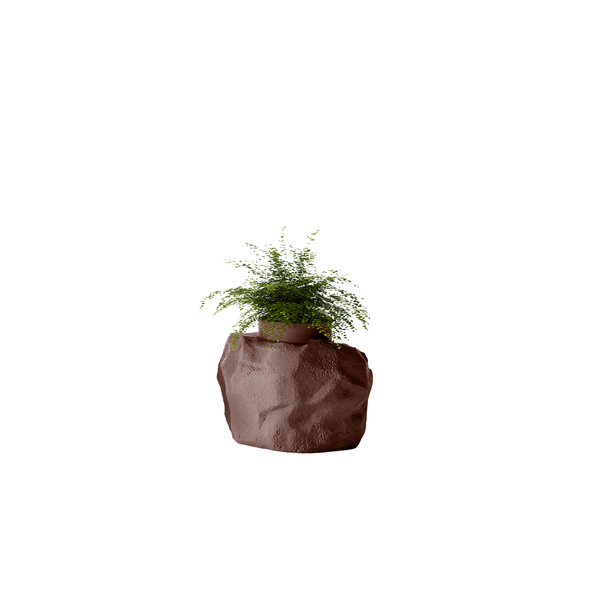 Petra Small