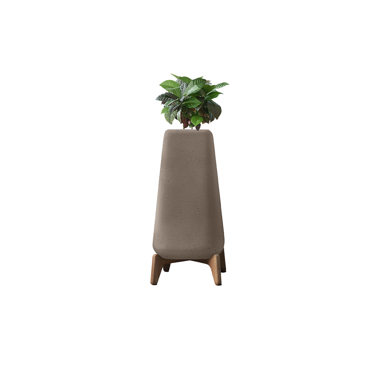 Terra Tall XS
