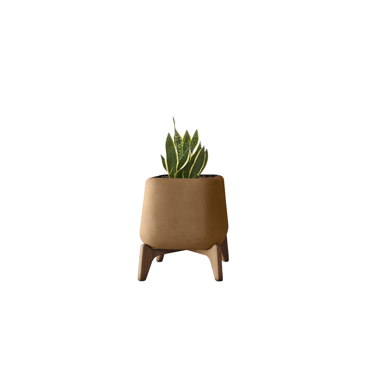 Terra Square XS