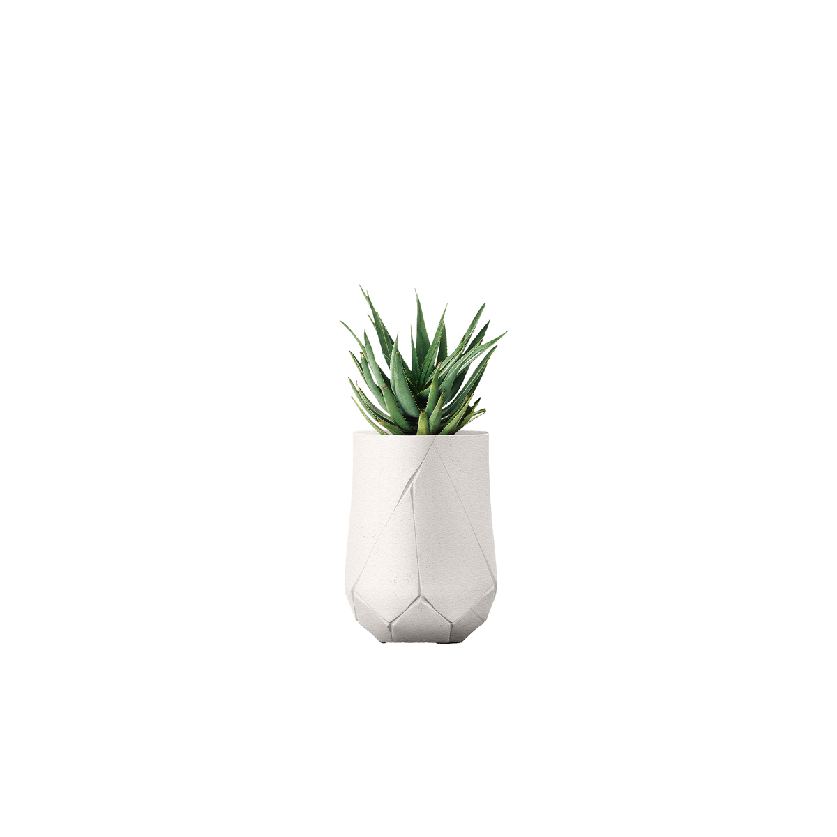 Bhaca Tall
