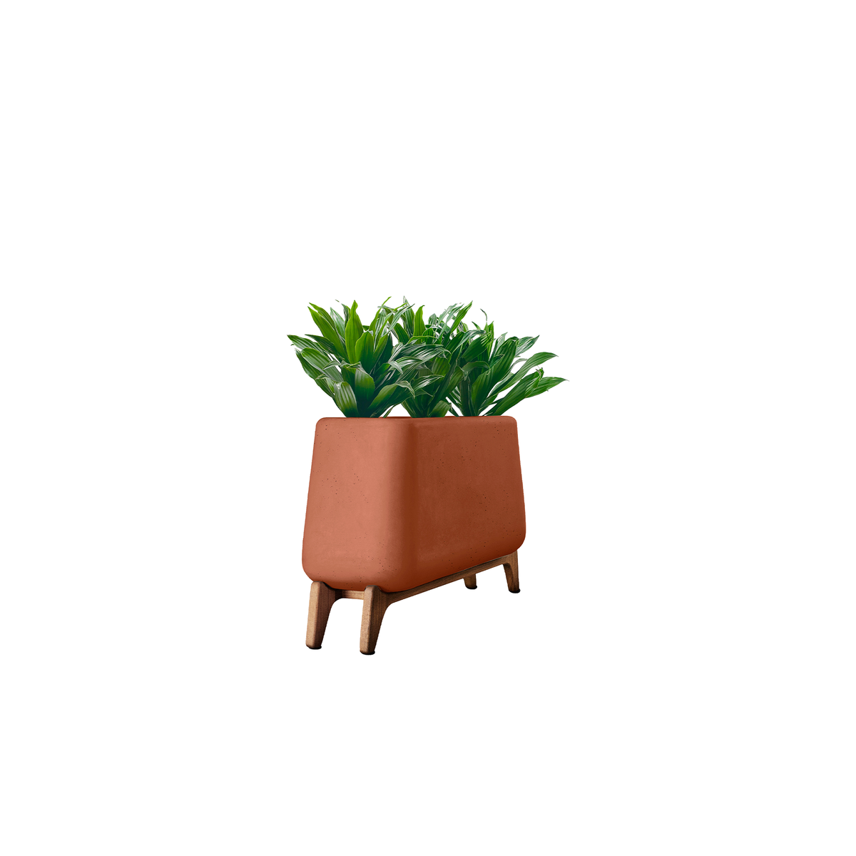 Terra Trough