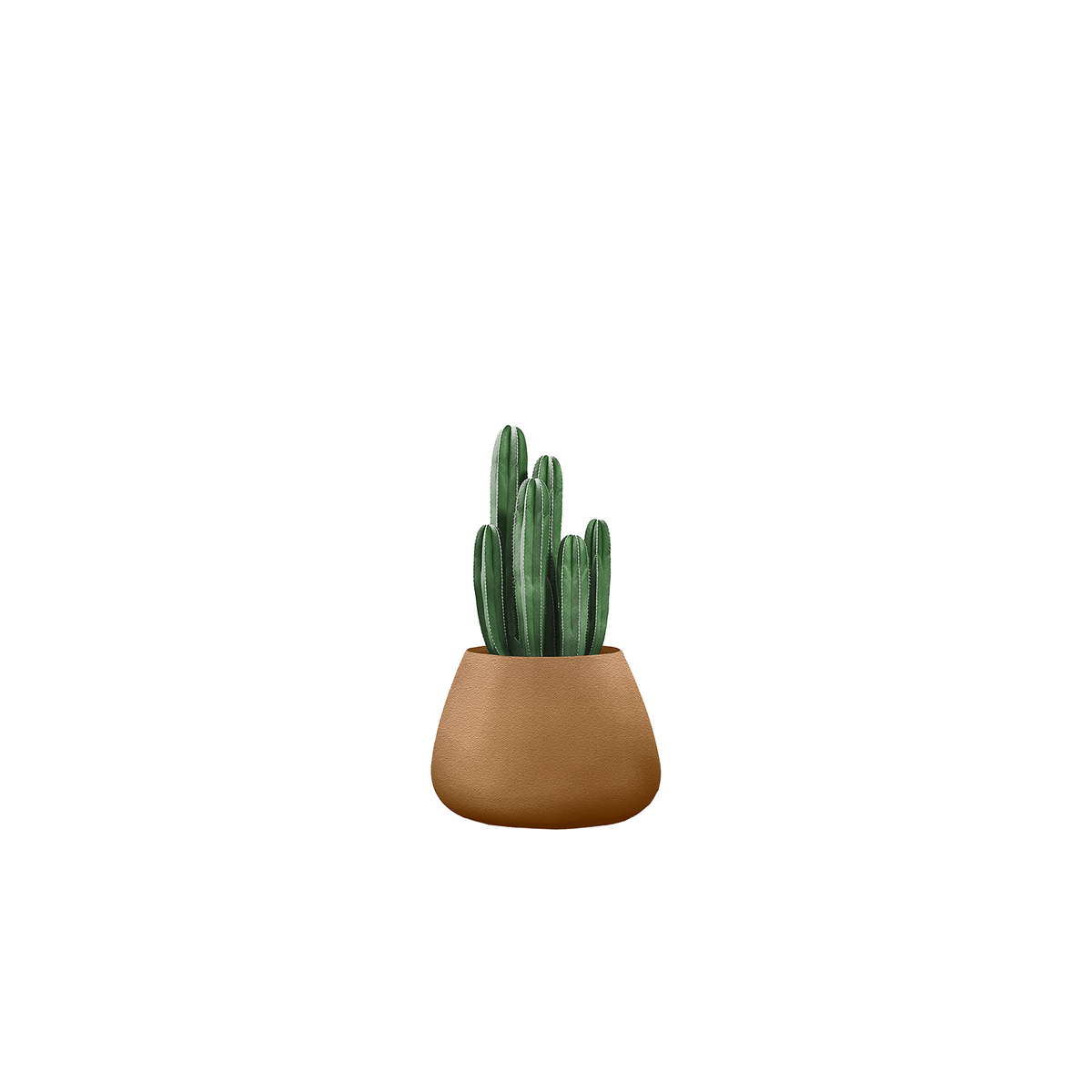 Tuber Small Stone