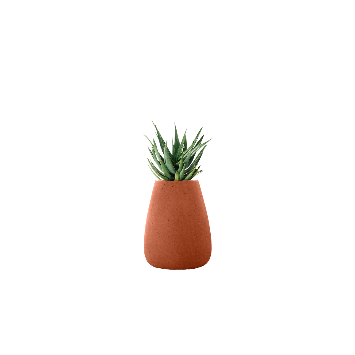 Tuber Medium Stone
