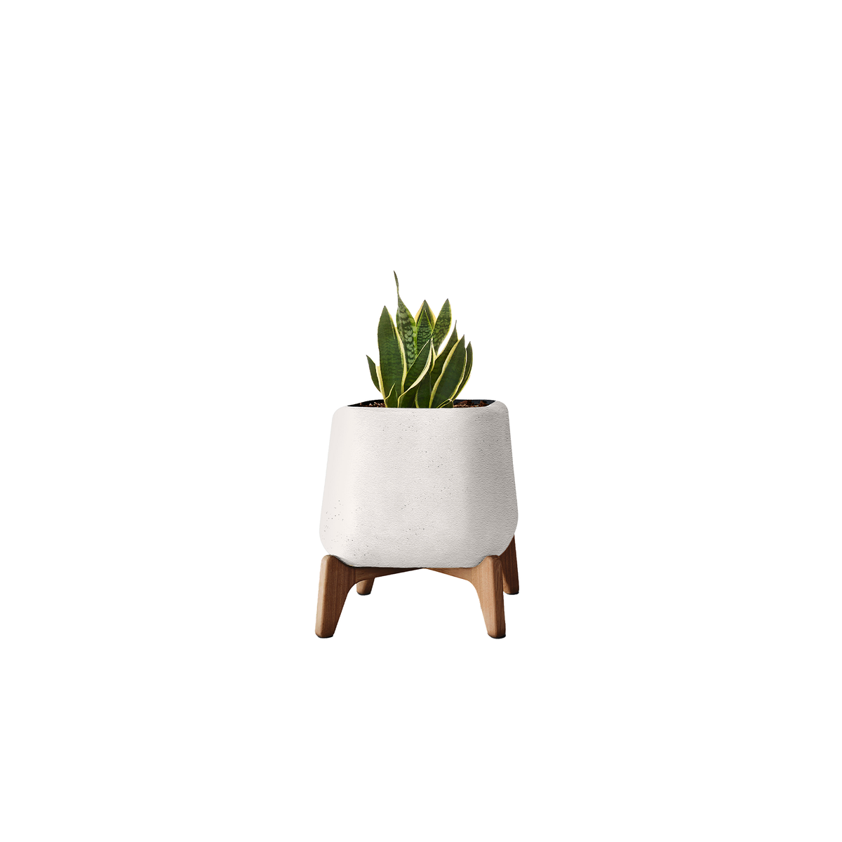 Terra Square XS
