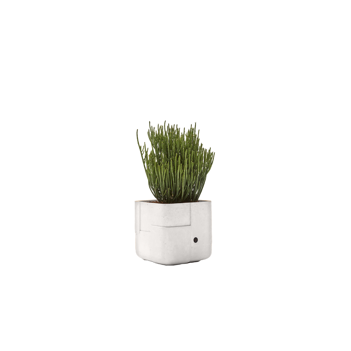 Aarde Square XS