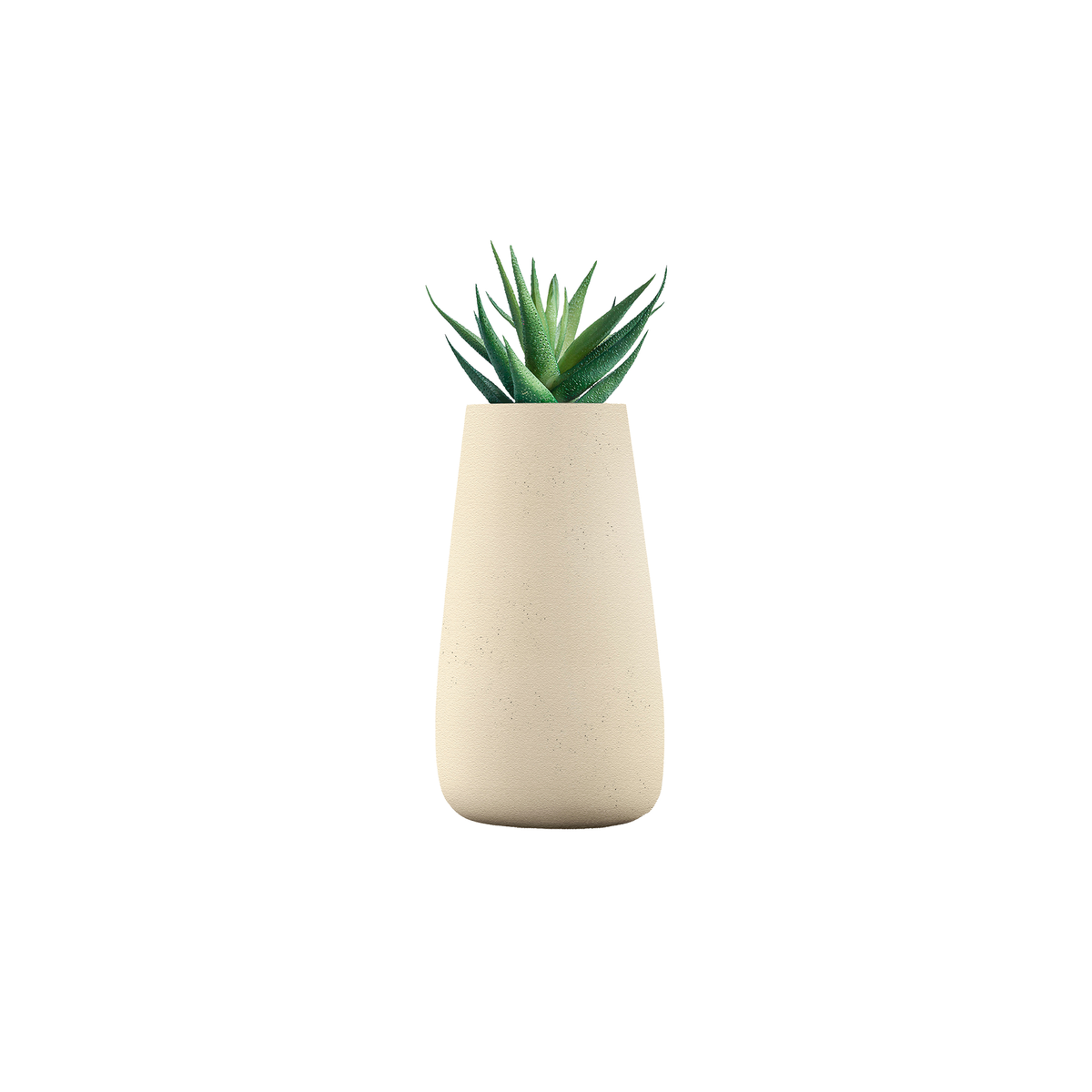 Tuber Tall Stone