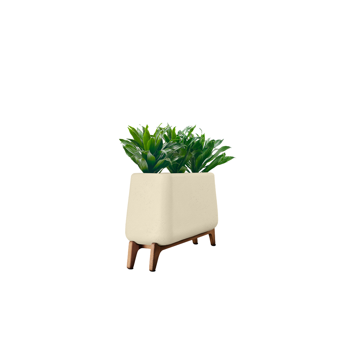 Terra Trough
