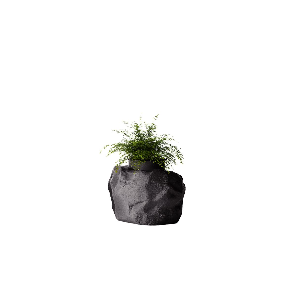 Petra Small