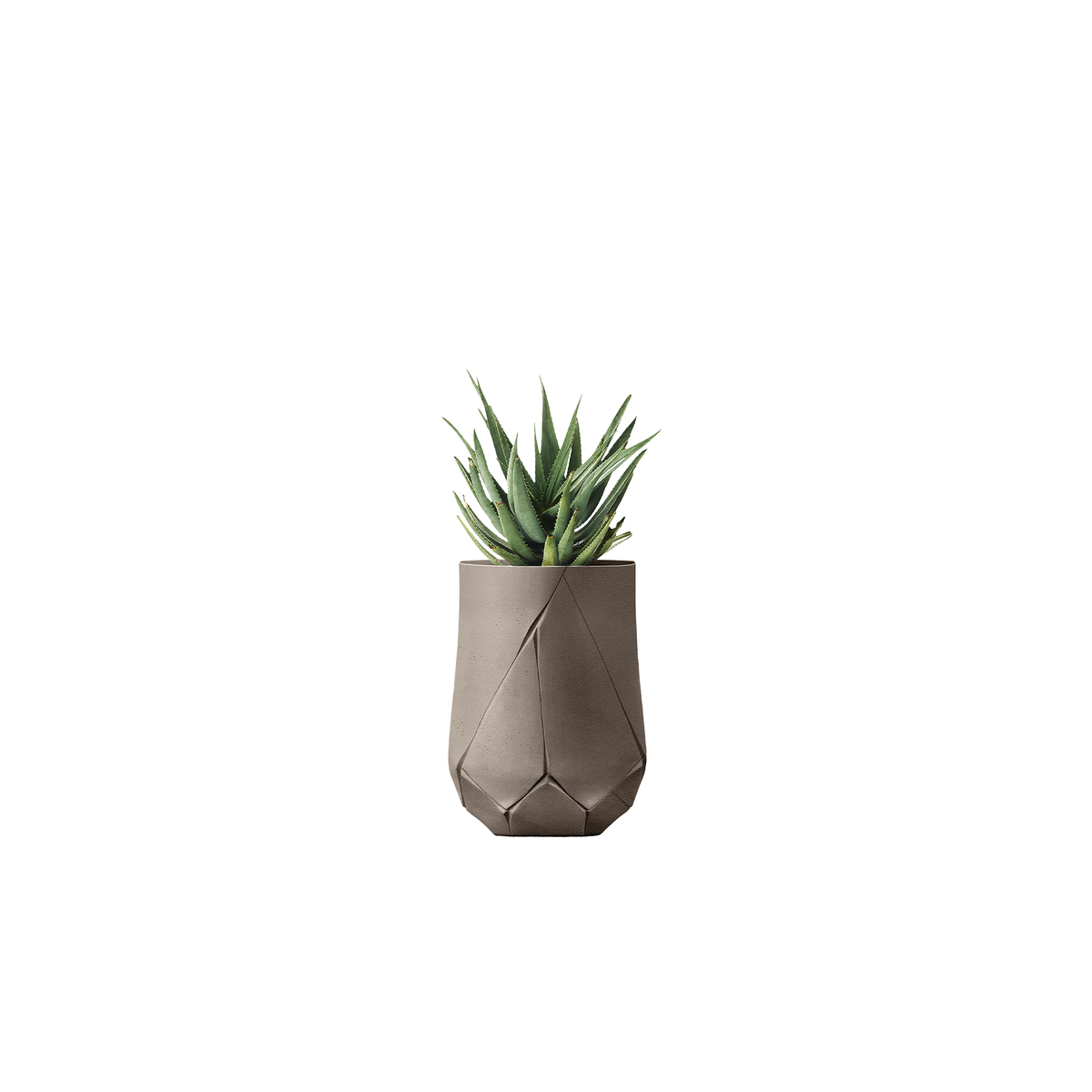 Bhaca Tall