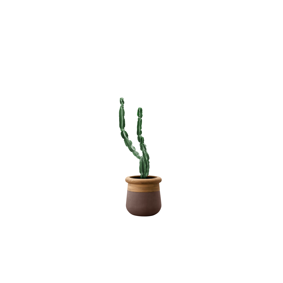 Soma Small