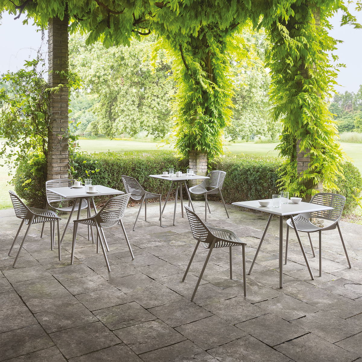 Niwa Dining Chair