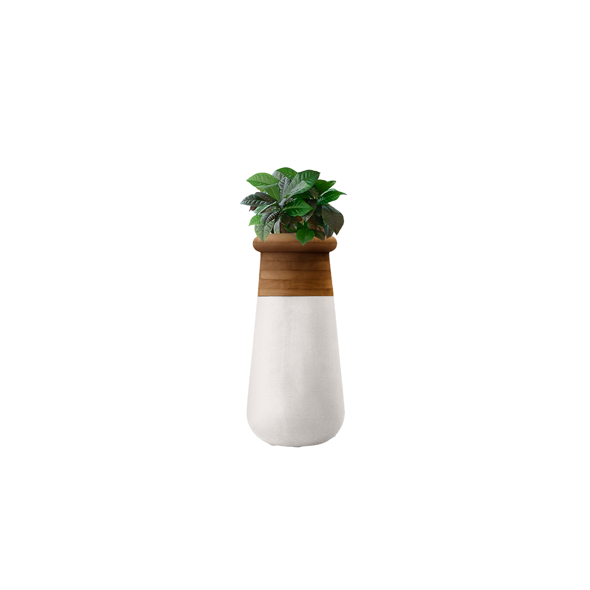Soma Slim XS