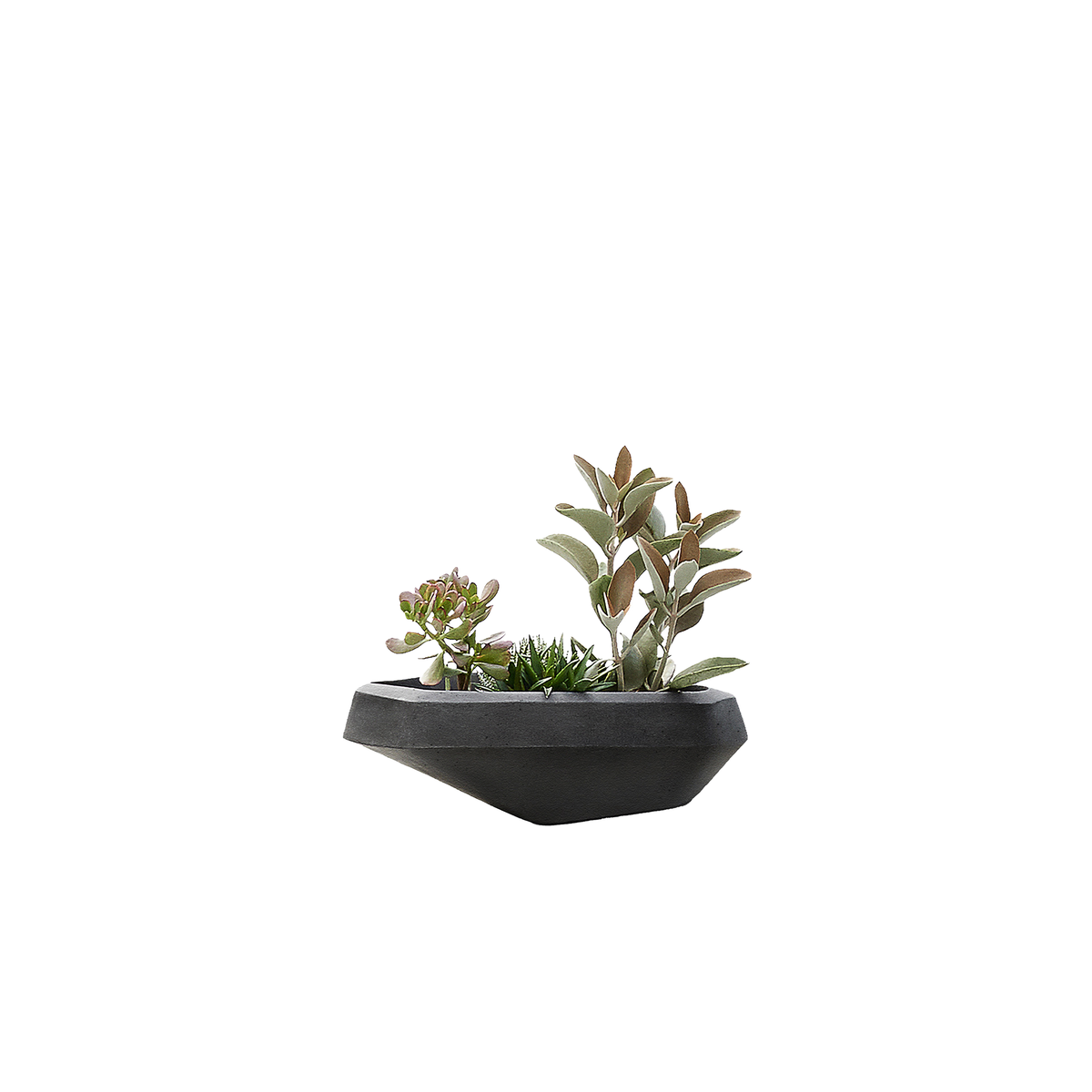 Steen Small