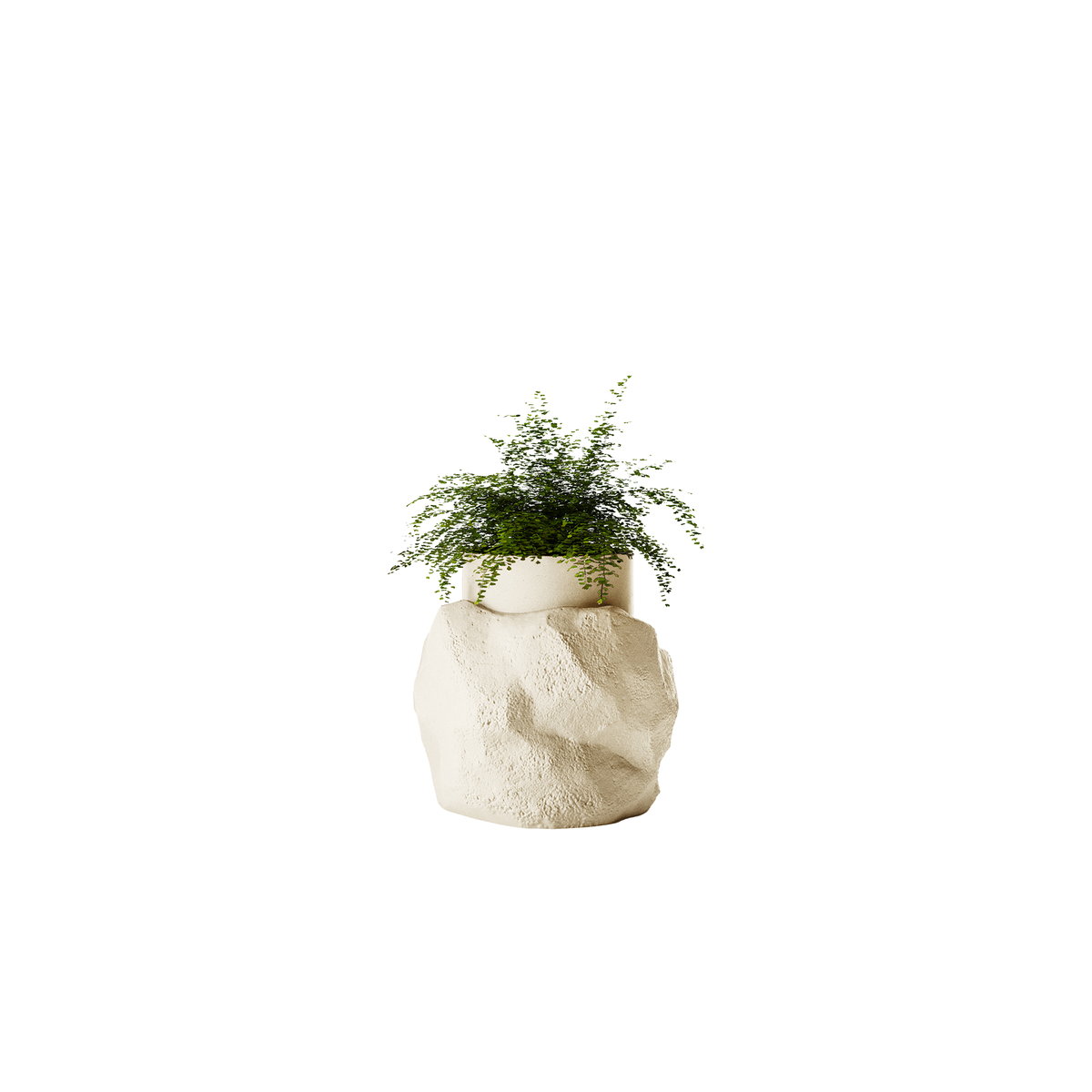 Petra Medium