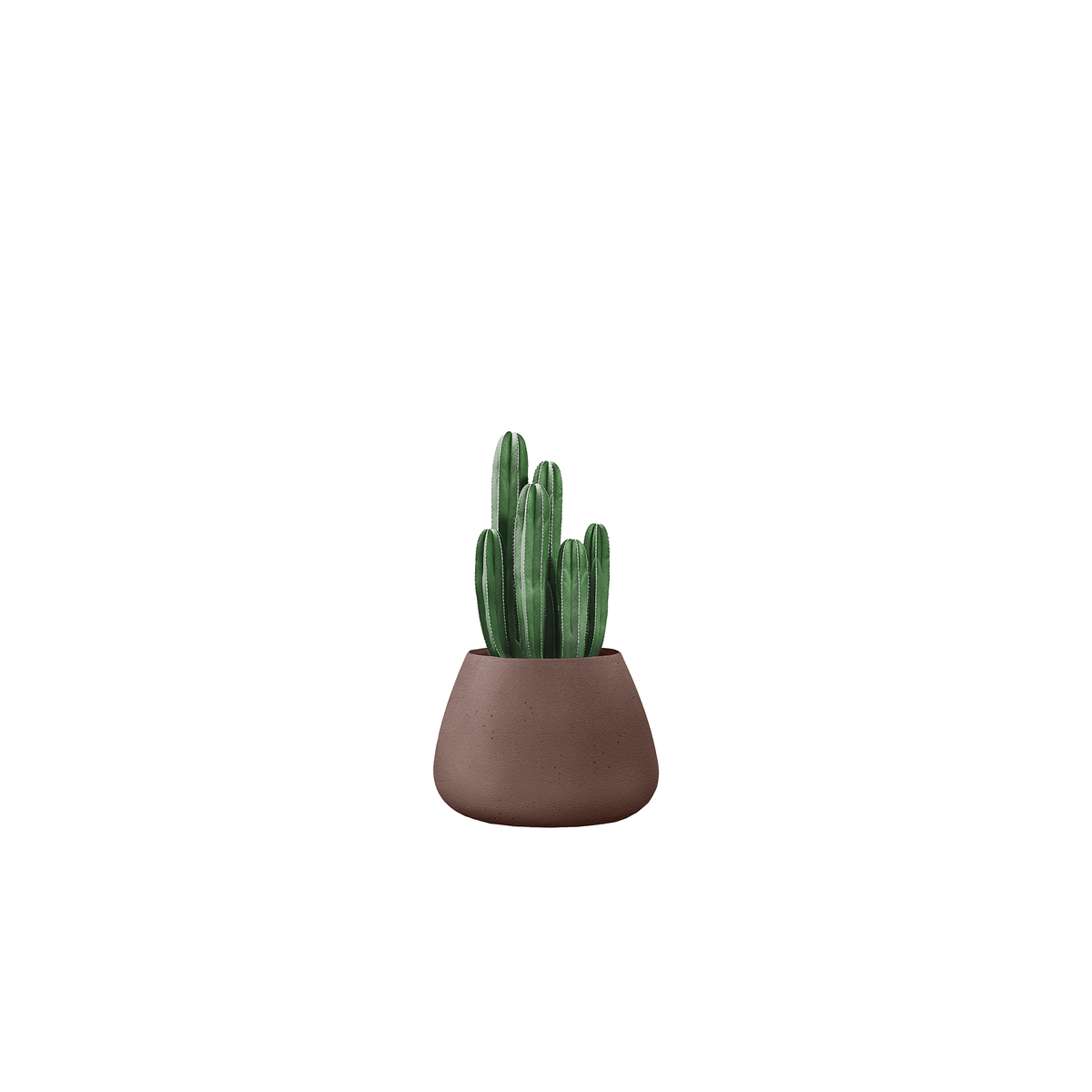 Tuber Small Stone