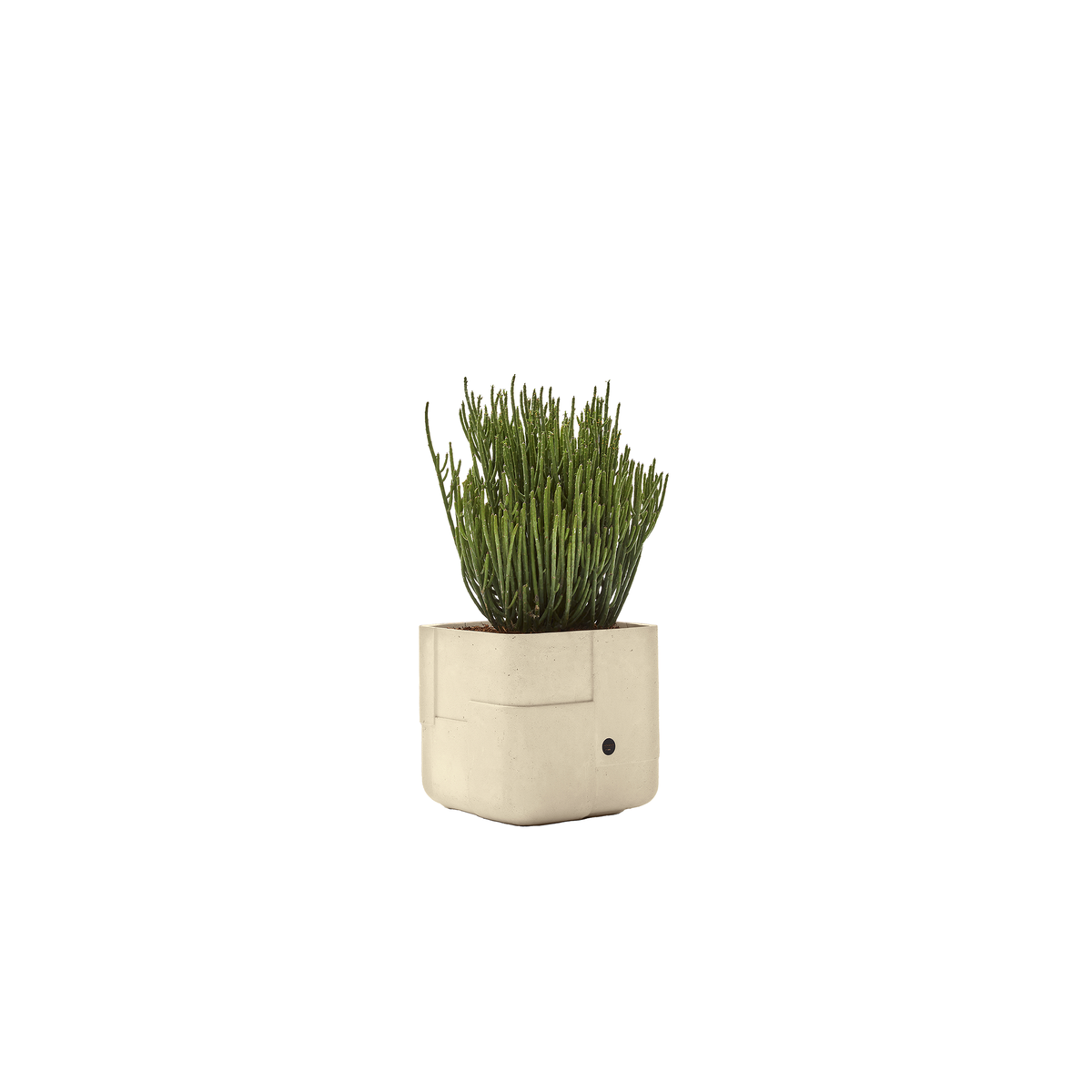 Aarde Square XS