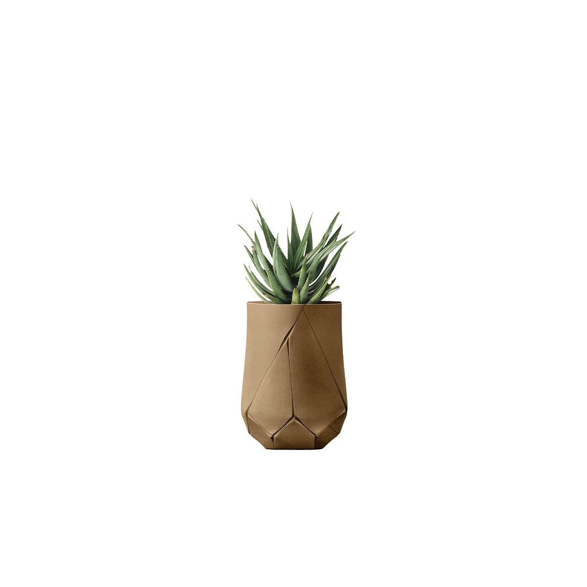 Bhaca Tall