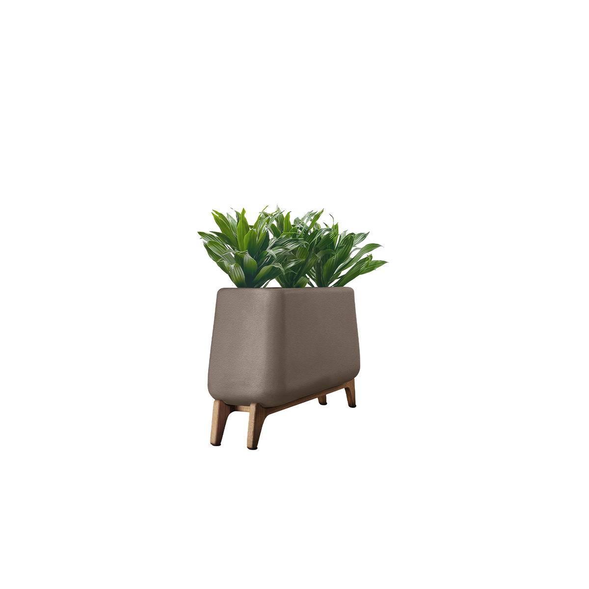 Terra Trough