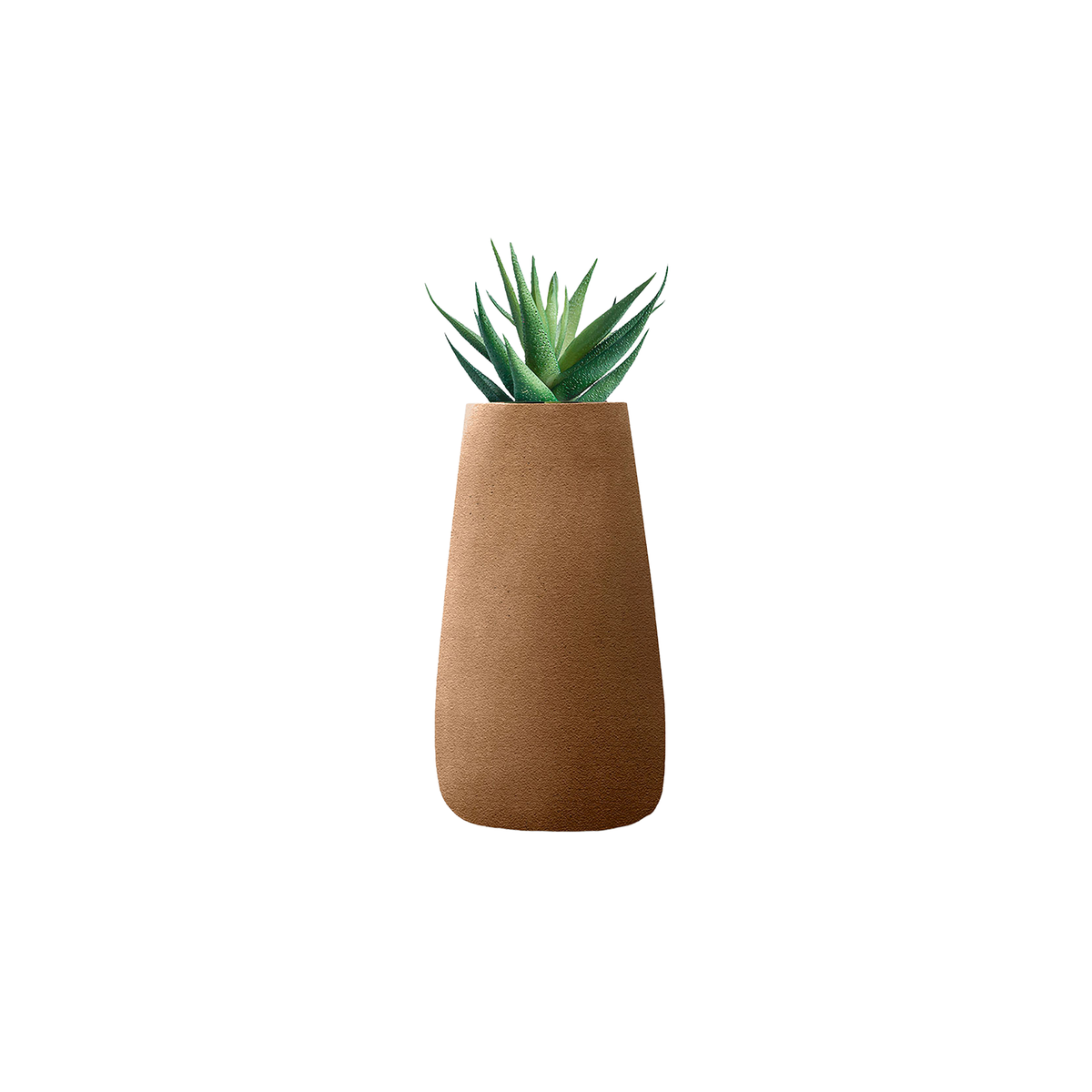 Tuber Tall Stone