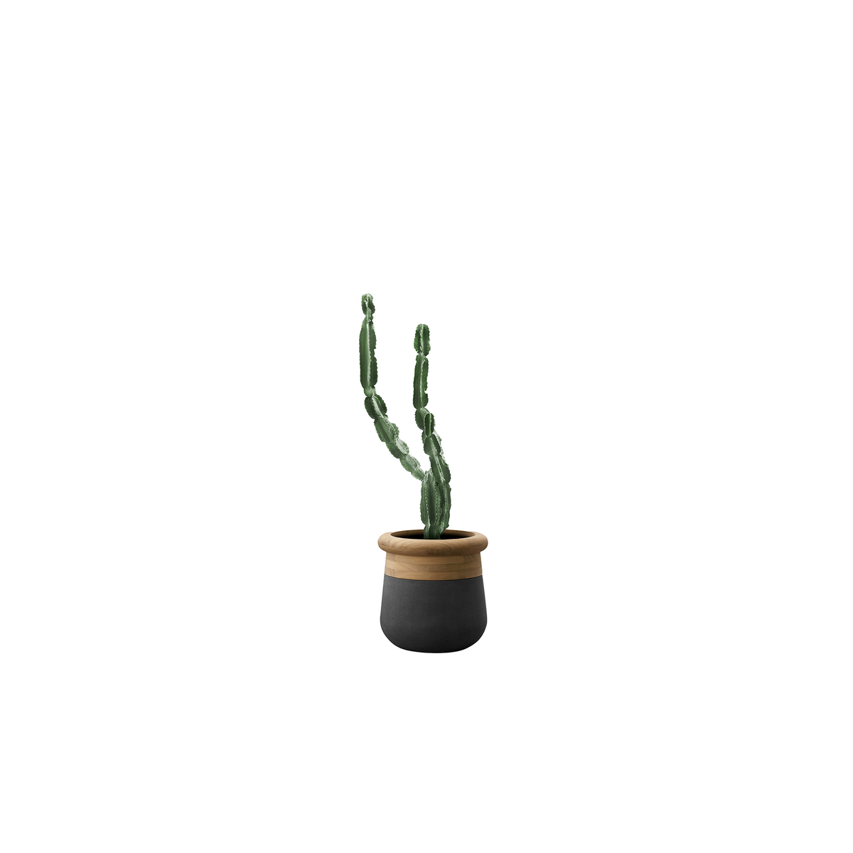 Soma Small