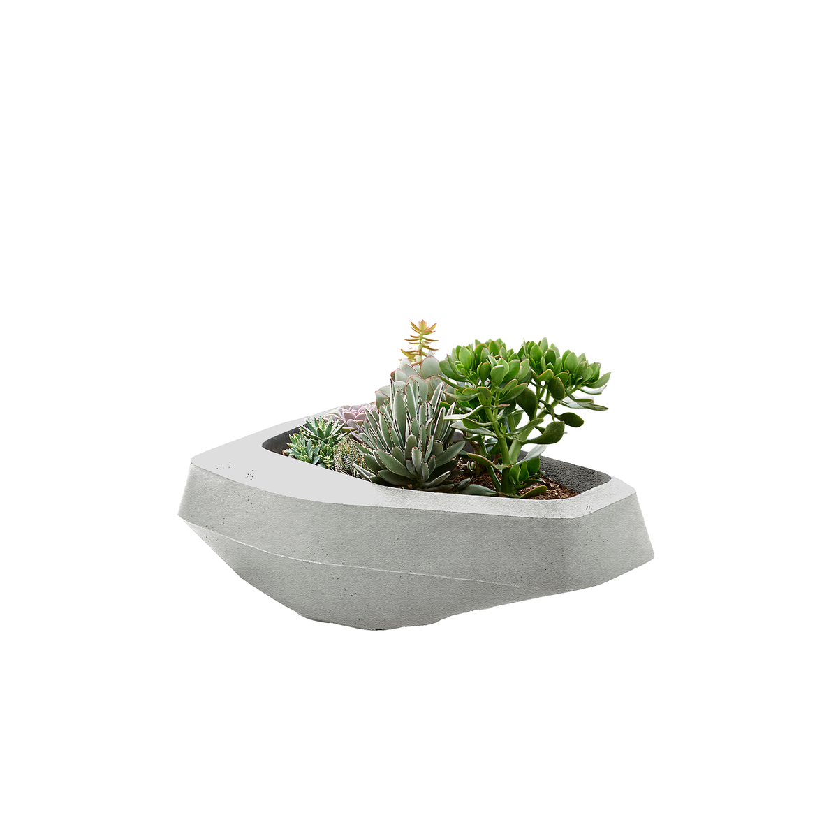 Steen Medium