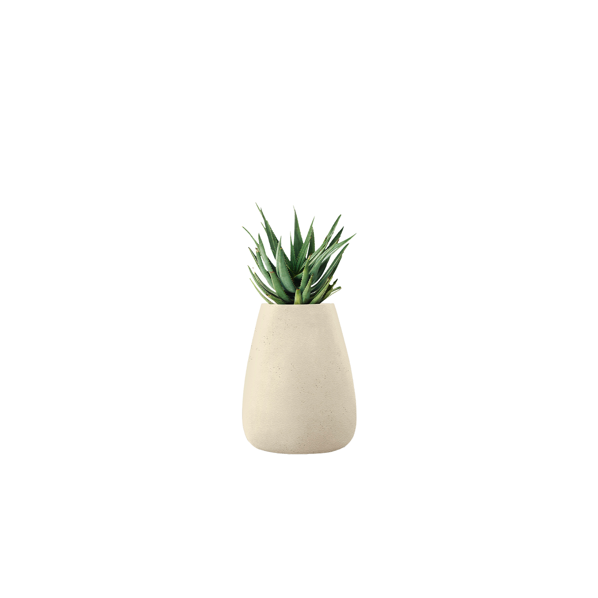 Tuber Medium Stone