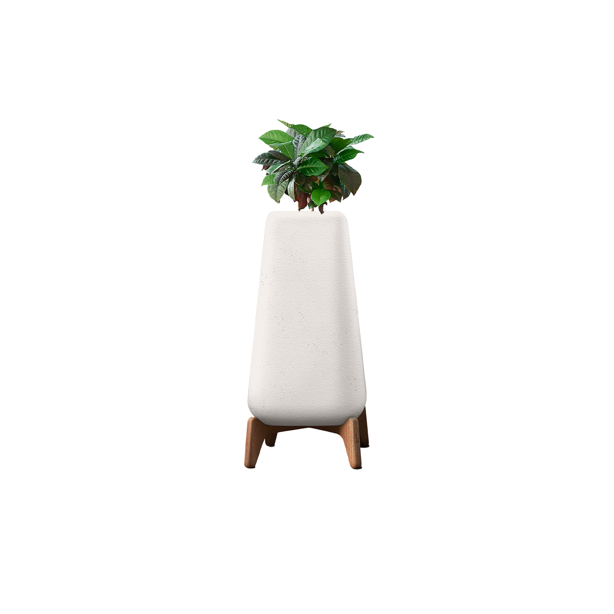 Terra Tall XS