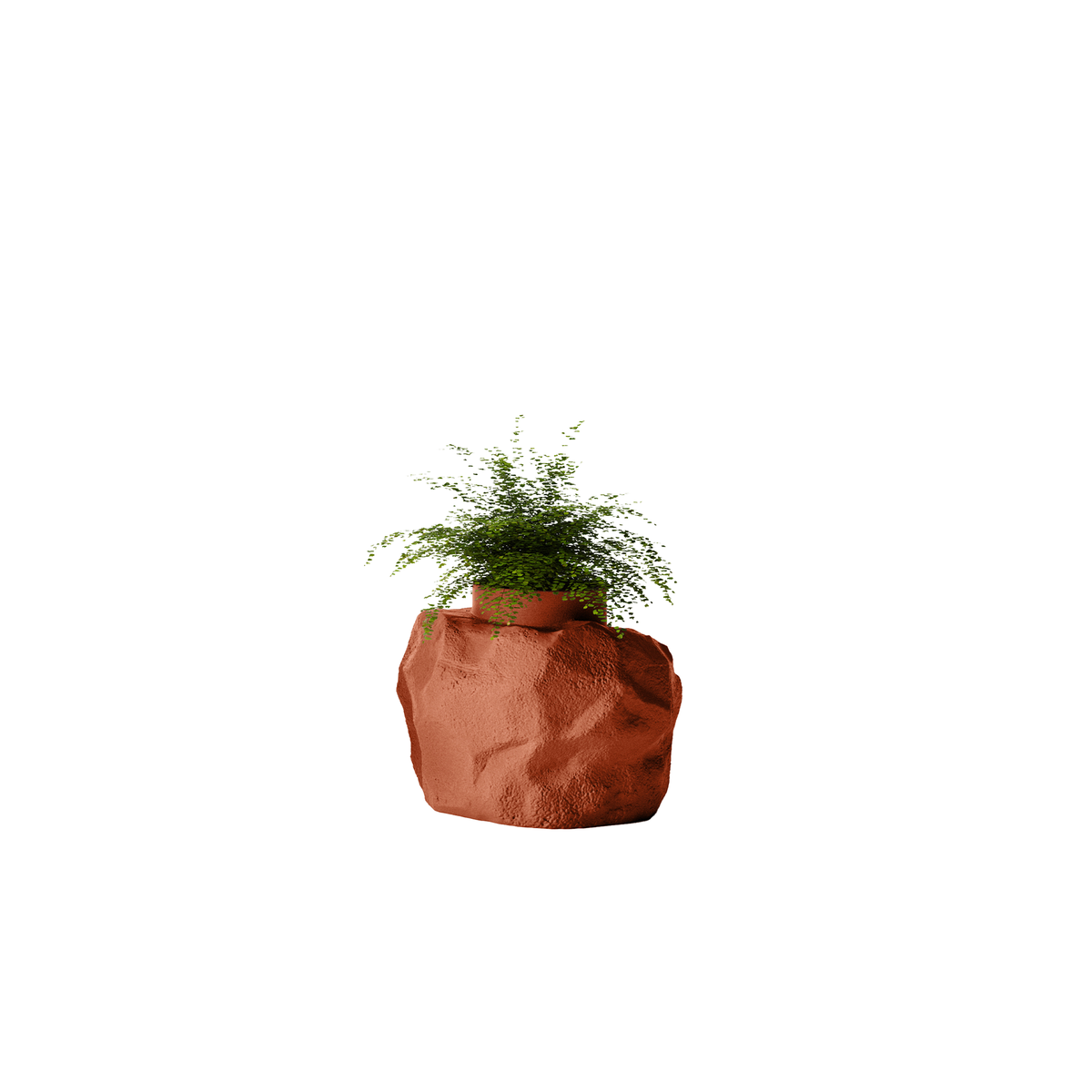 Petra Small
