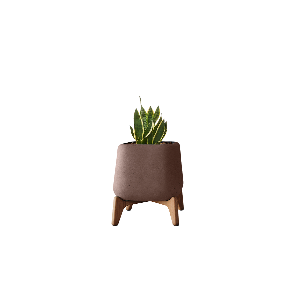Terra Square XS