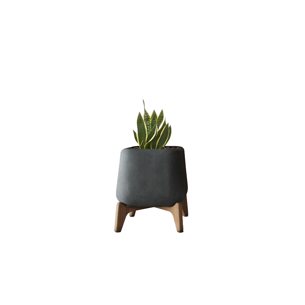 Terra Square XS