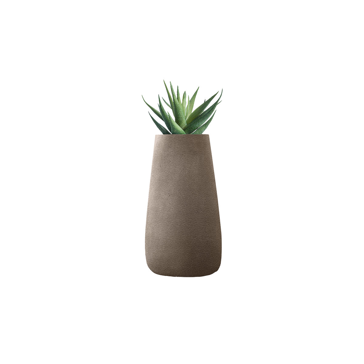 Tuber Tall Stone