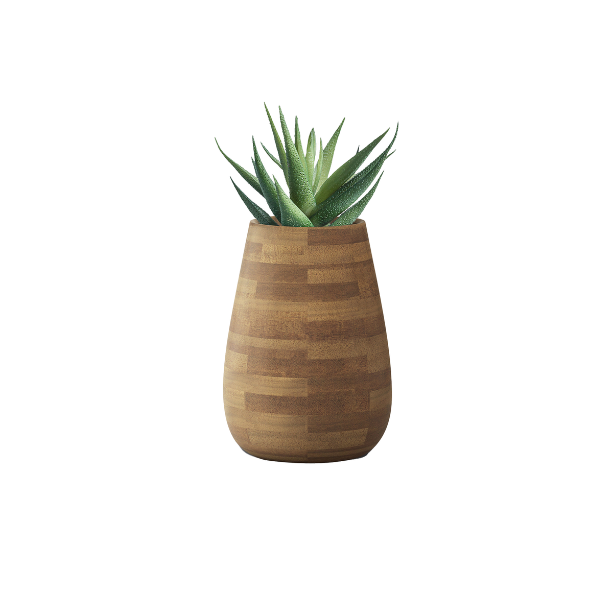 Tuber XS Wood