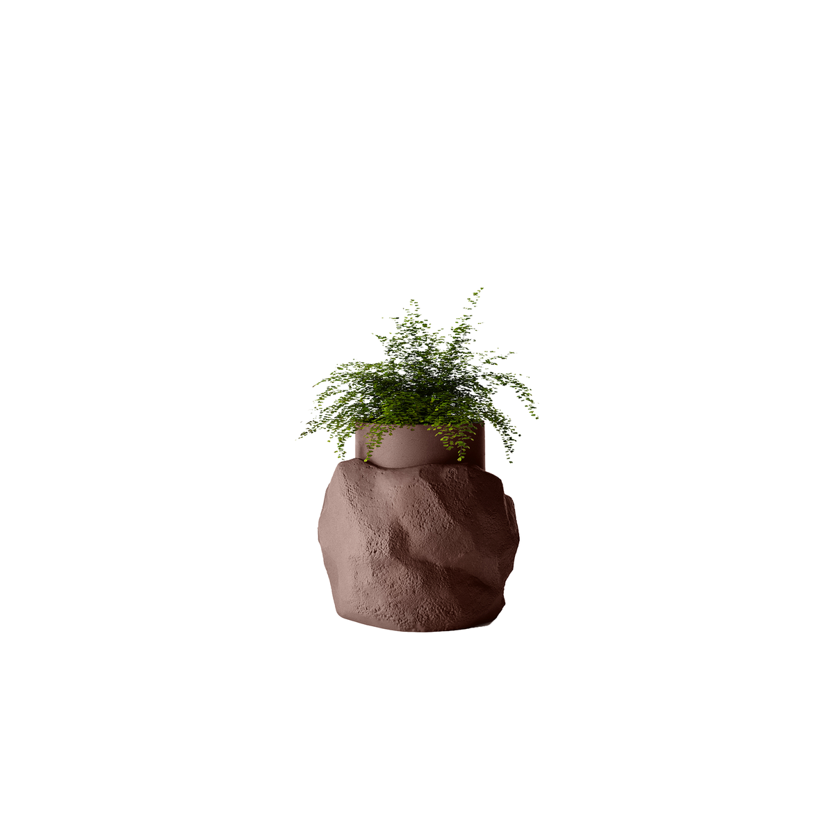 Petra Medium
