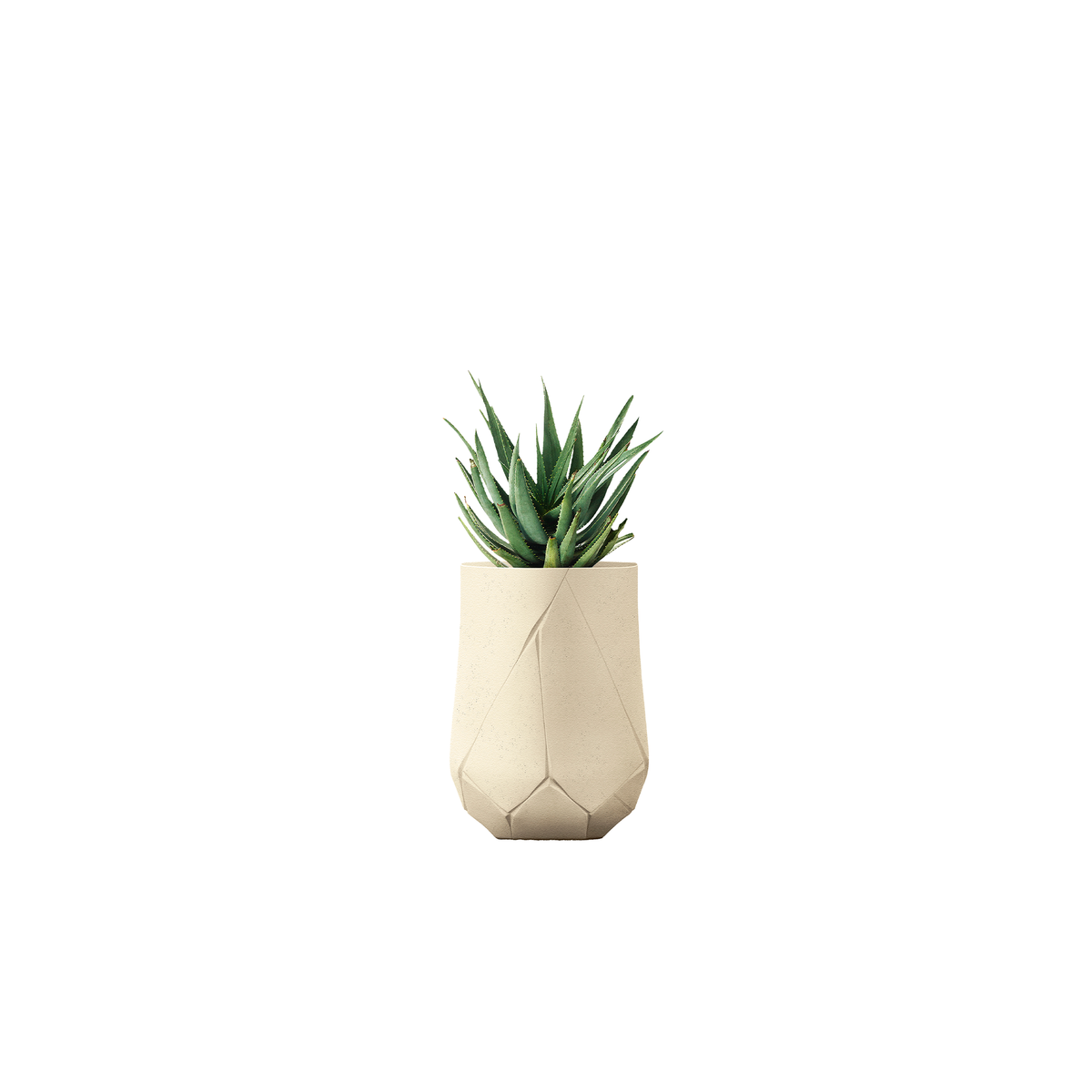 Bhaca Tall