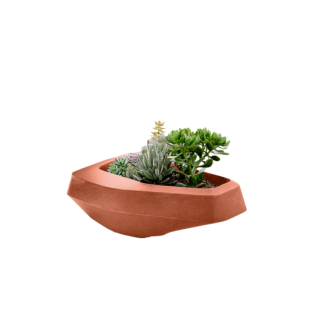 Steen Medium