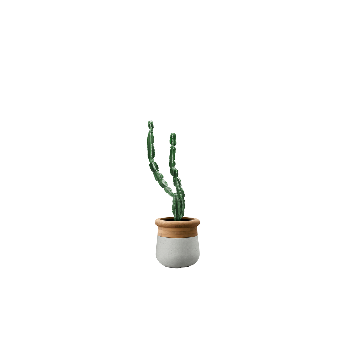 Soma Small